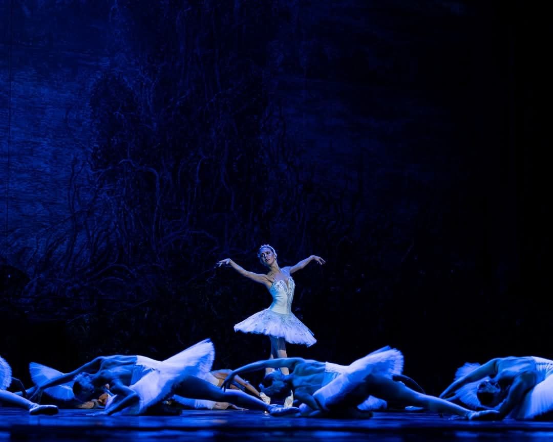 Het Zwanenmeer — beeld 5